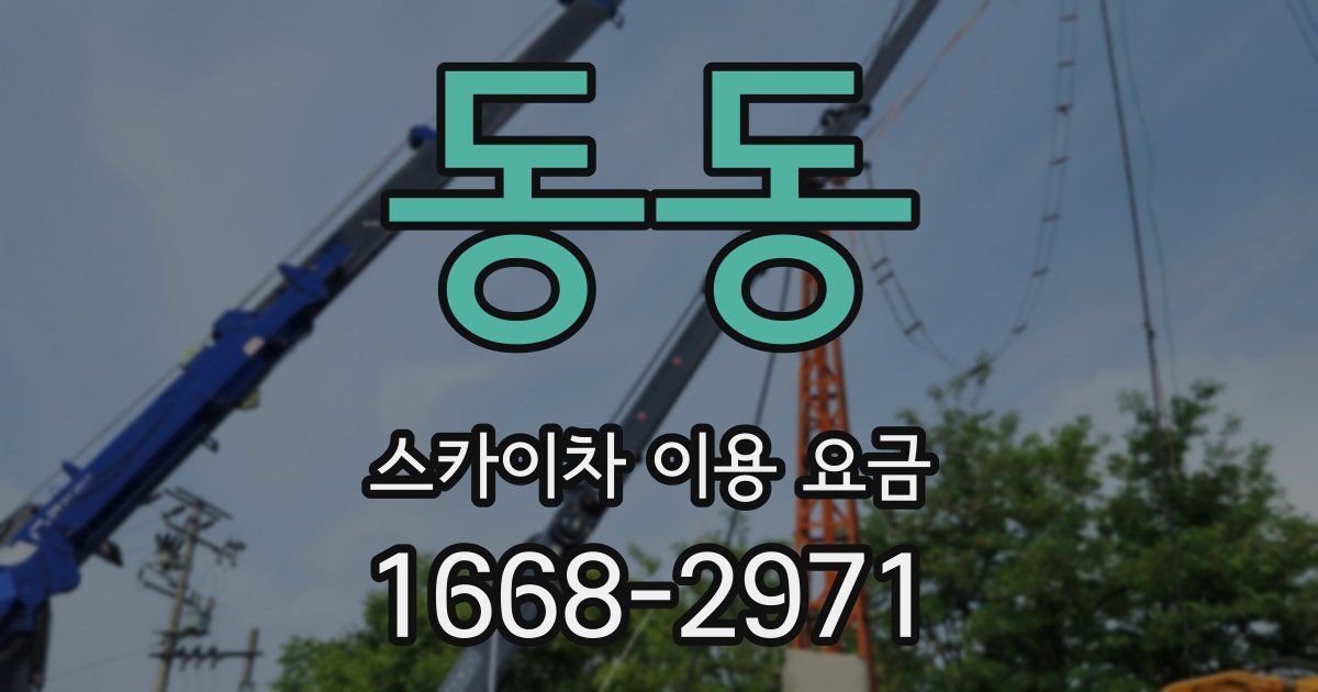 동동 스카이차 이용 요금