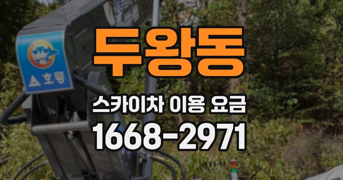 두왕동 스카이차 이용 요금