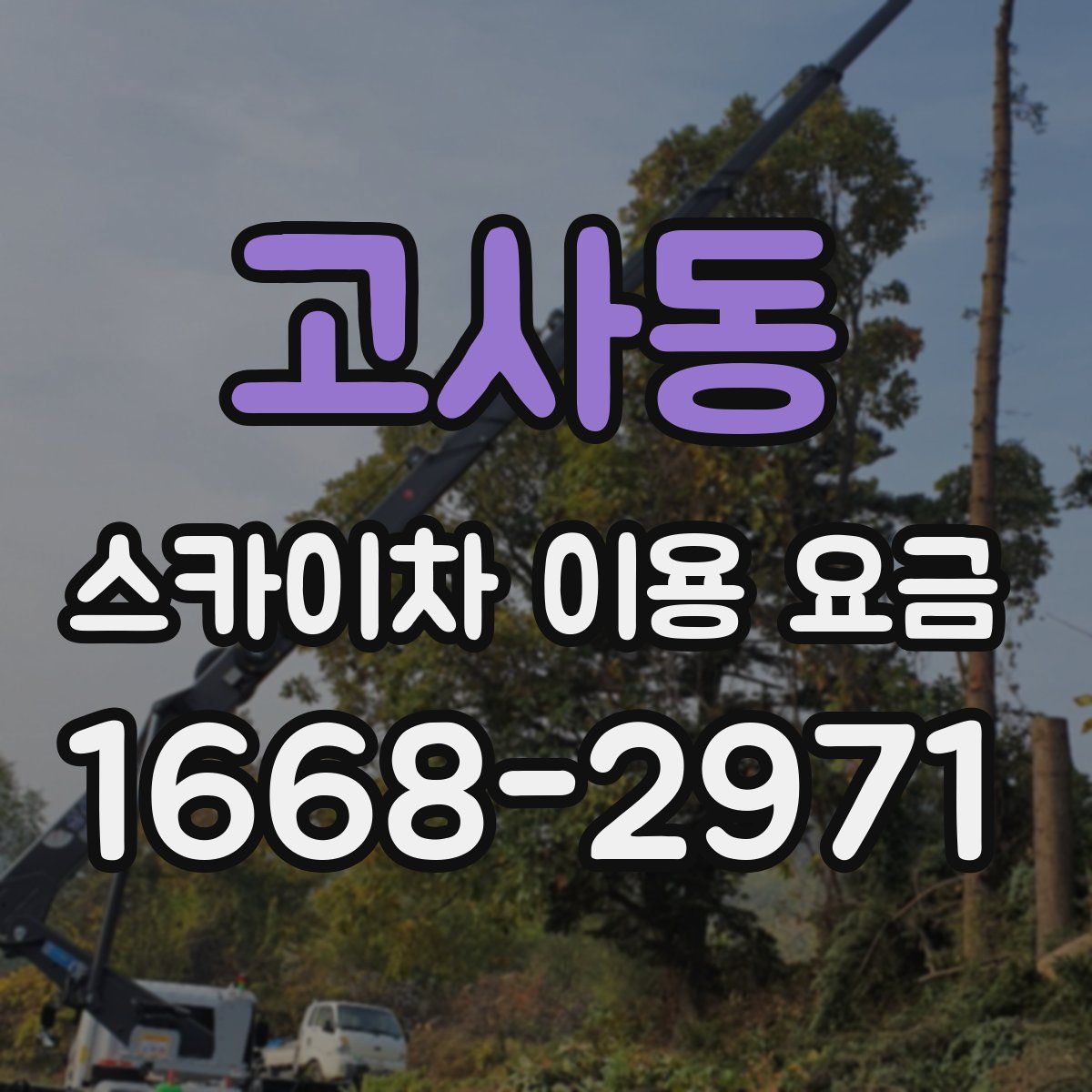 고사동 스카이차 이용 요금