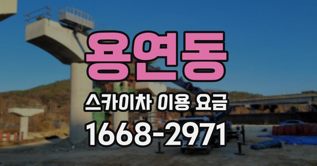용연동 스카이차 이용 요금