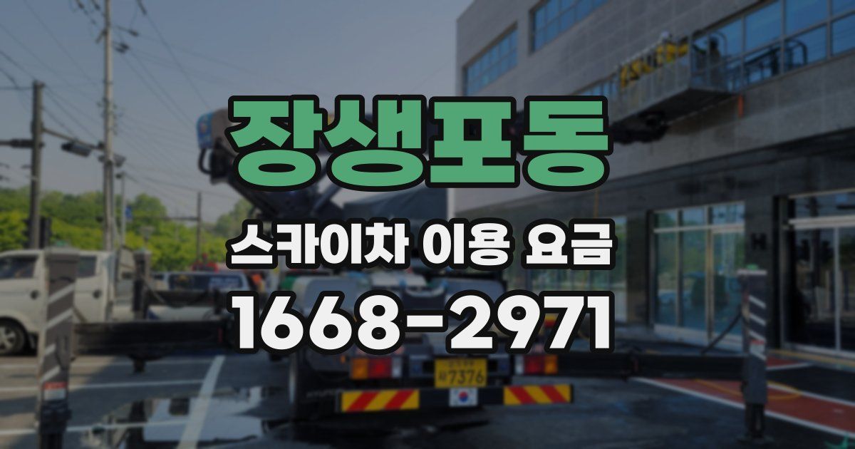 장생포동 스카이차 이용 요금