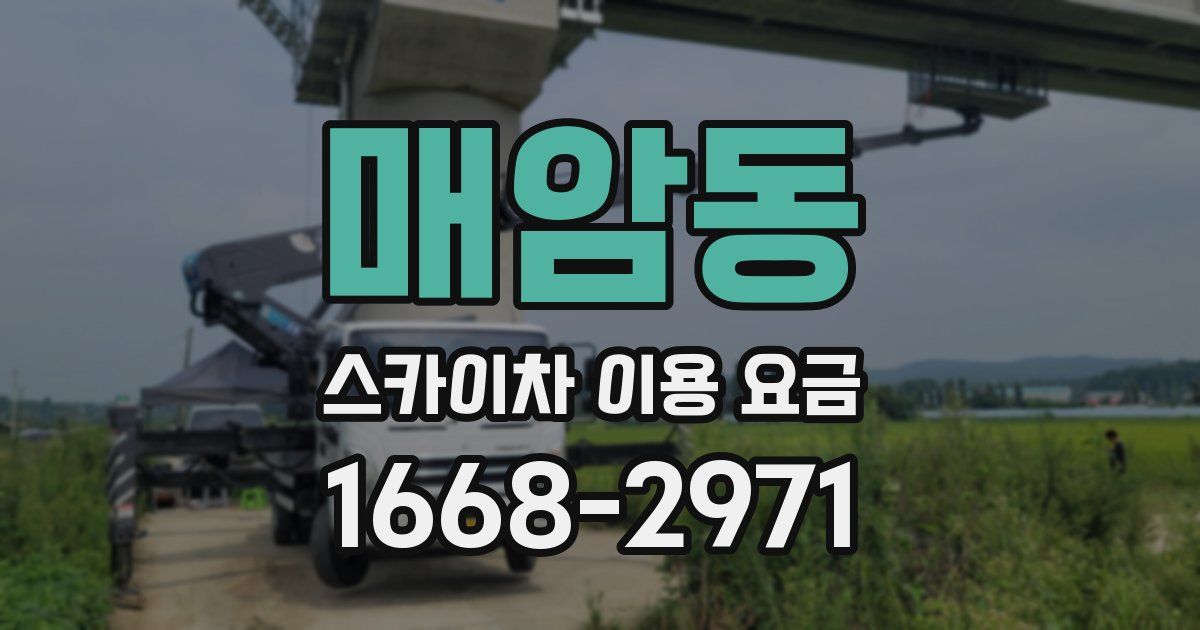 매암동 스카이차 이용 요금