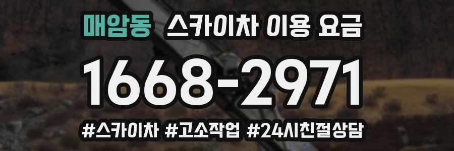 매암동 스카이차 이용 요금