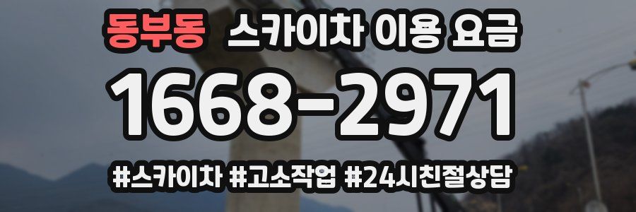동부동 스카이차 이용 요금