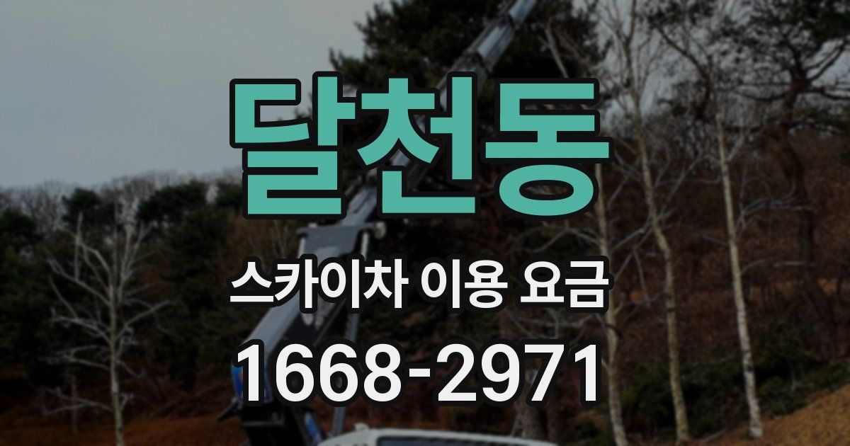 달천동 스카이차 이용 요금