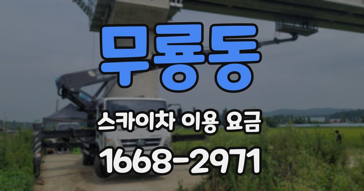 무룡동 스카이차 이용 요금
