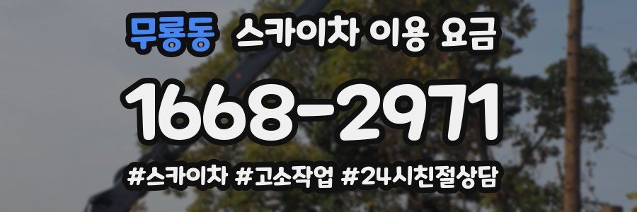 무룡동 스카이차 이용 요금