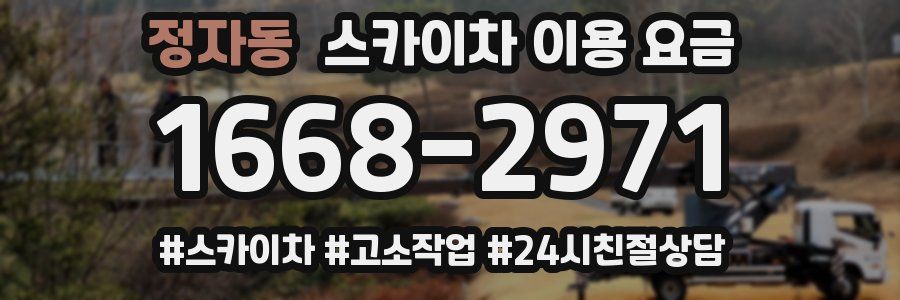 정자동 스카이차 이용 요금