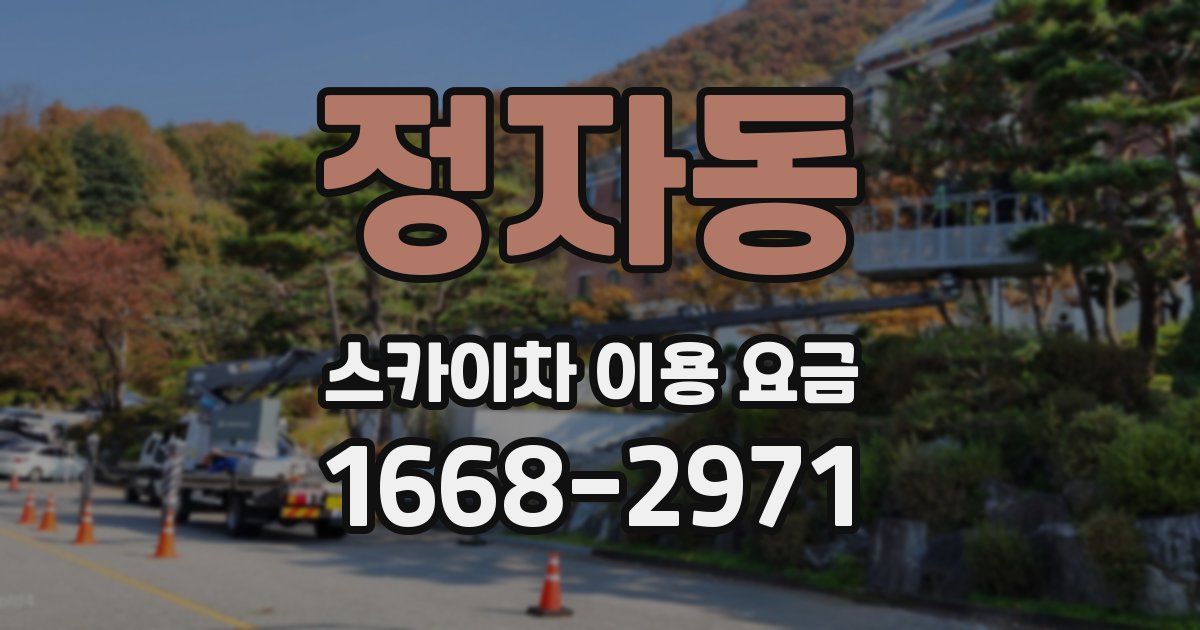 정자동 스카이차 이용 요금