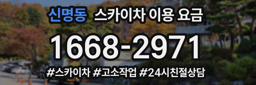 신명동 스카이차 이용 요금