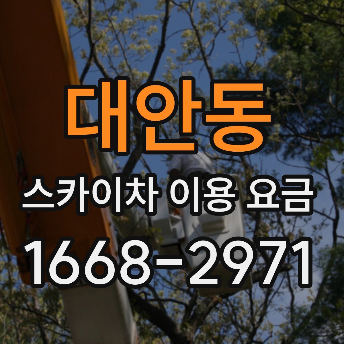 대안동 스카이차 이용 요금