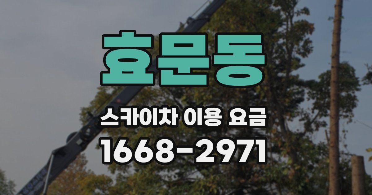 효문동 스카이차 이용 요금