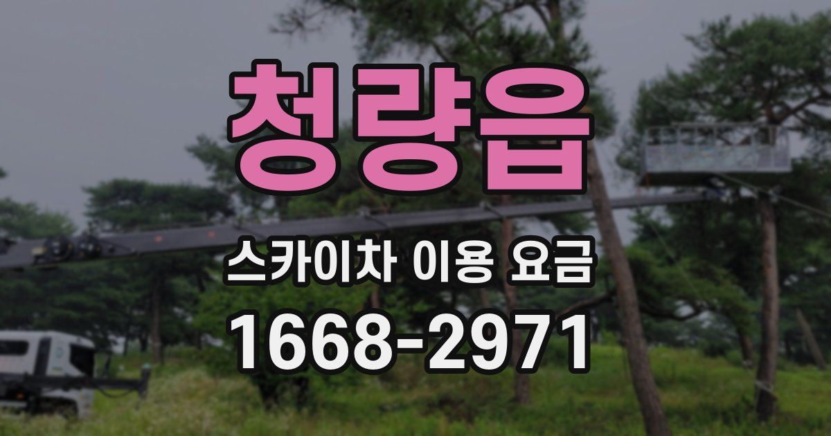 청량읍 스카이차 이용 요금
