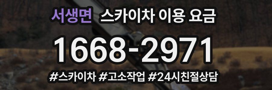 서생면 스카이차 이용 요금