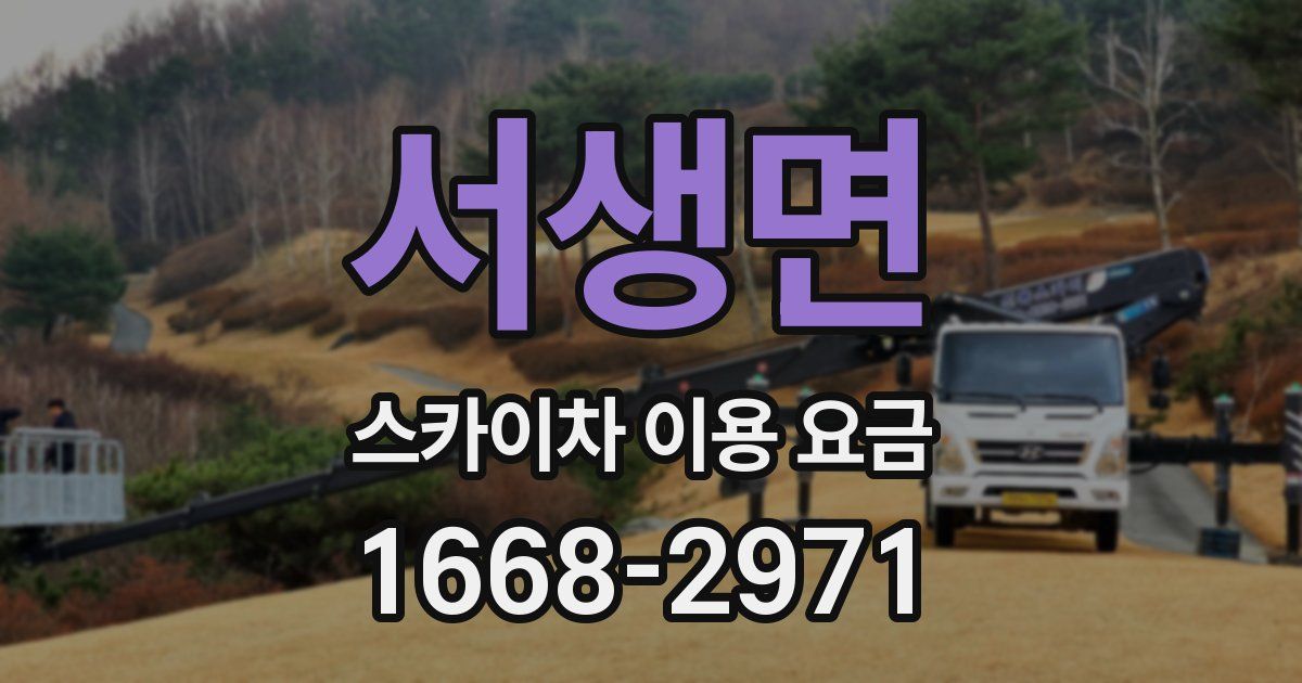서생면 스카이차 이용 요금