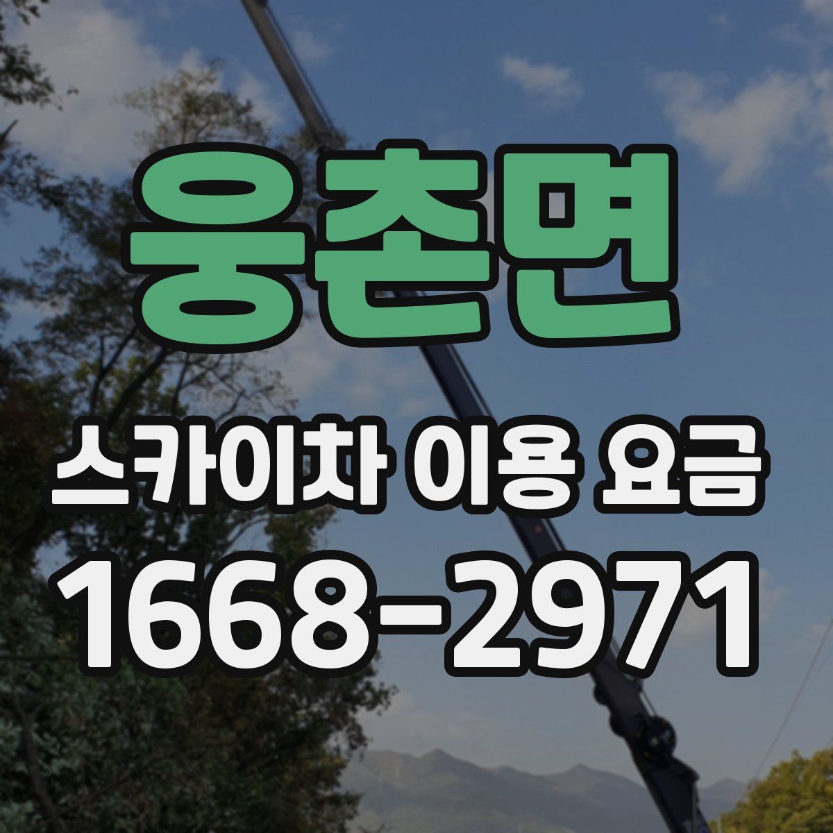 웅촌면 스카이차 이용 요금