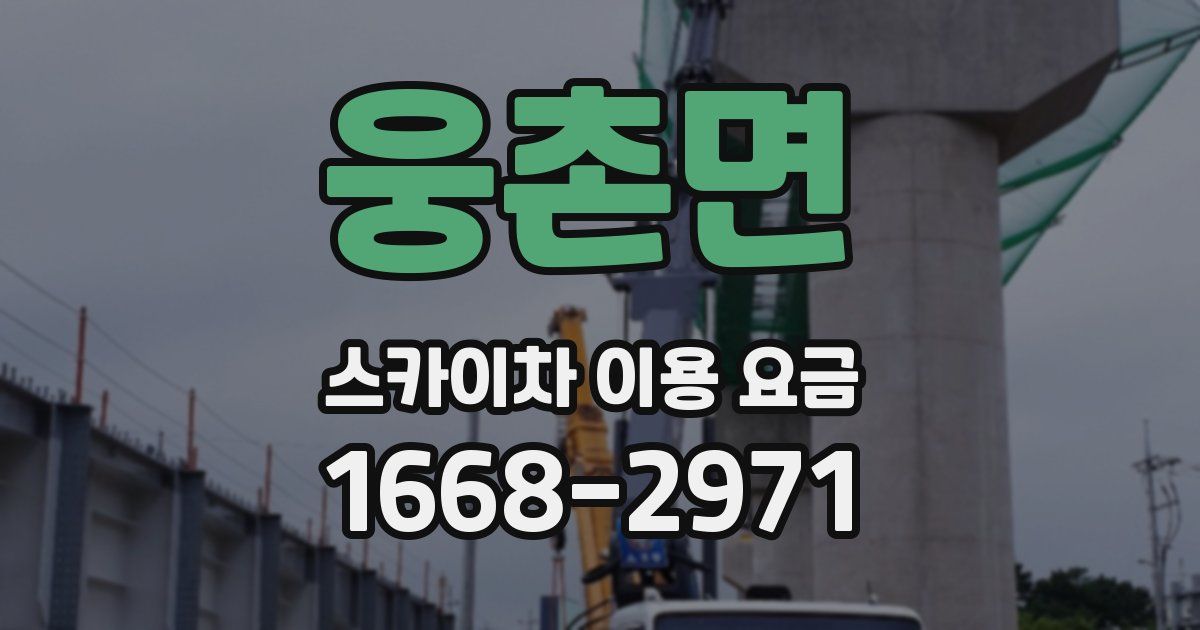 웅촌면 스카이차 이용 요금