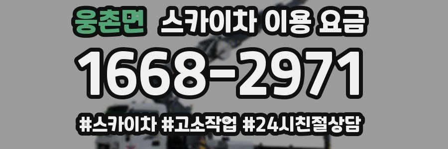웅촌면 스카이차 이용 요금