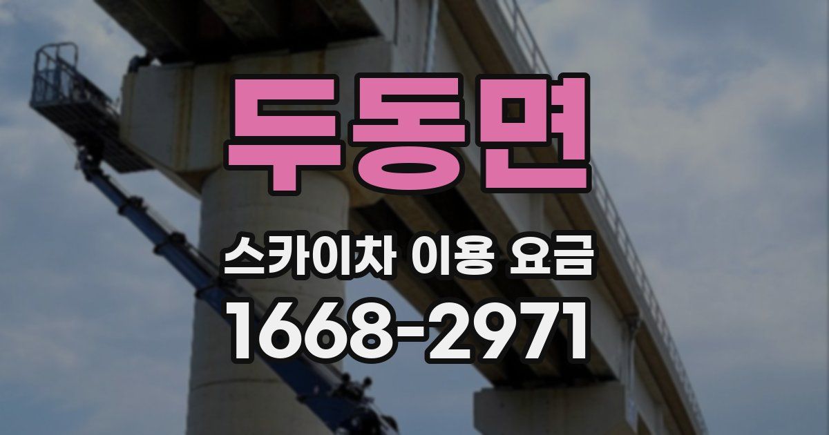 두동면 스카이차 이용 요금