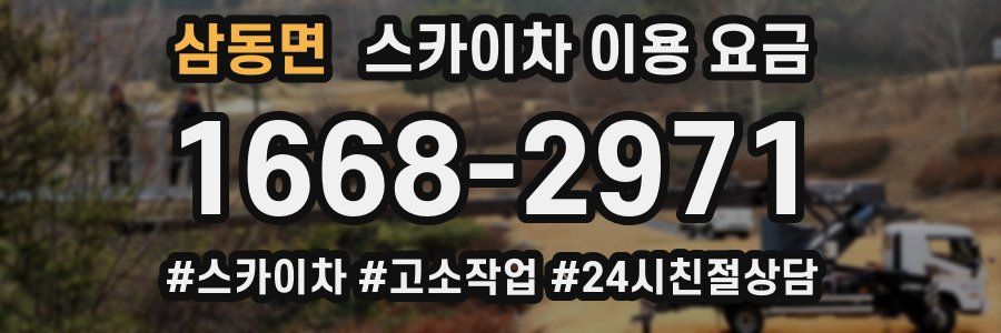 삼동면 스카이차 이용 요금
