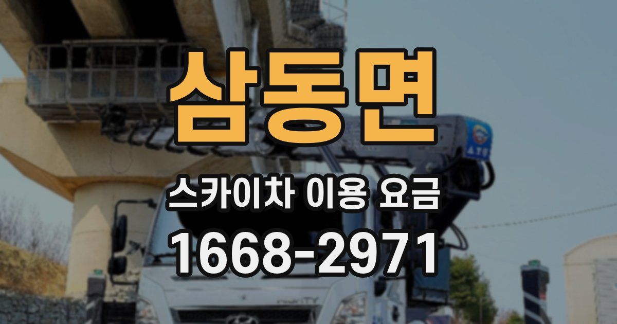 삼동면 스카이차 이용 요금