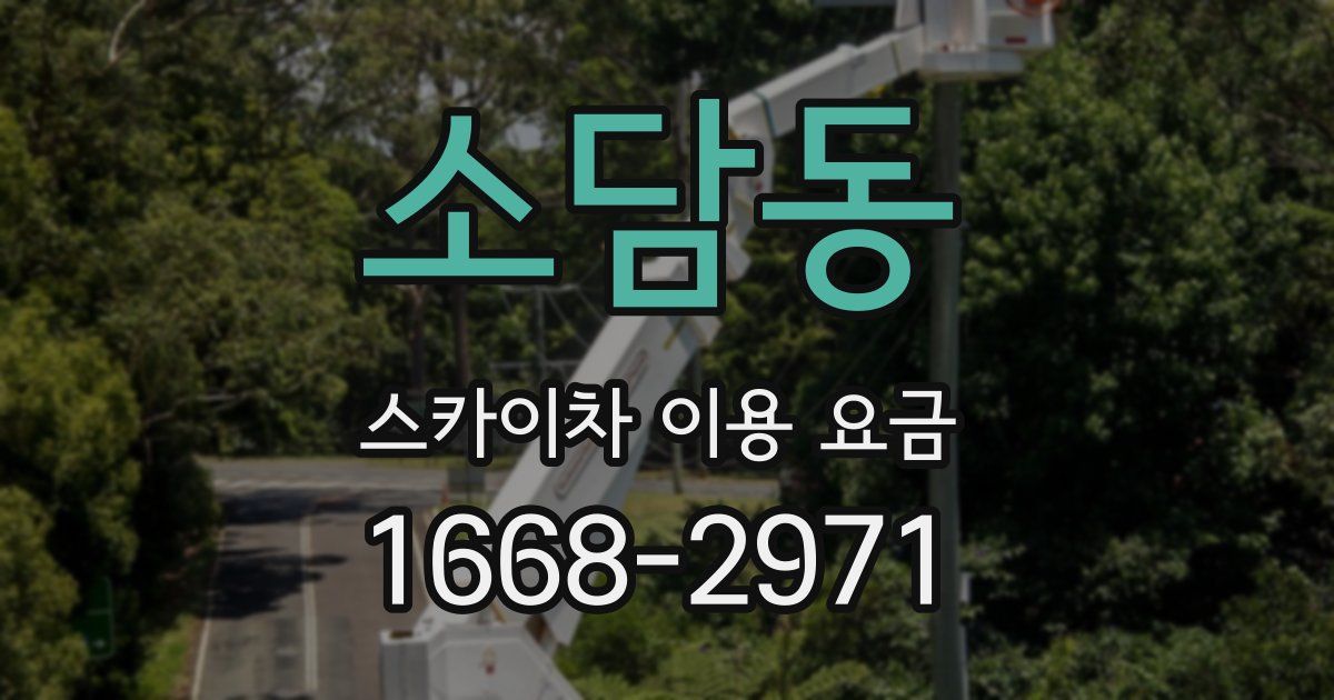 소담동 스카이차 이용 요금