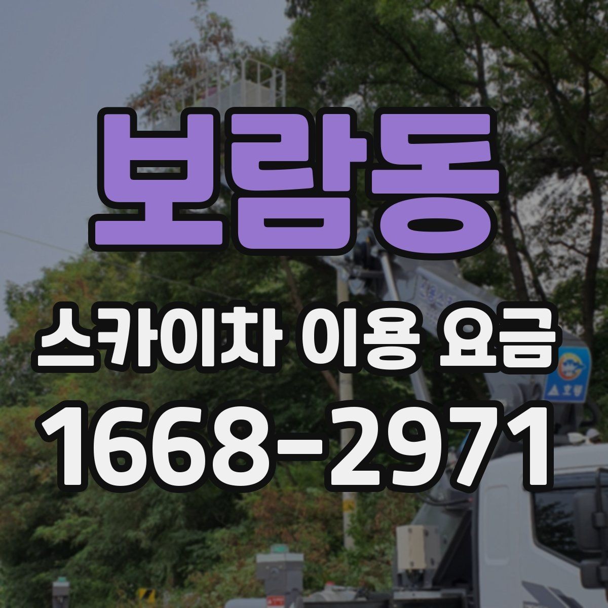 보람동 스카이차 이용 요금 비교를 위한 핵심 항목