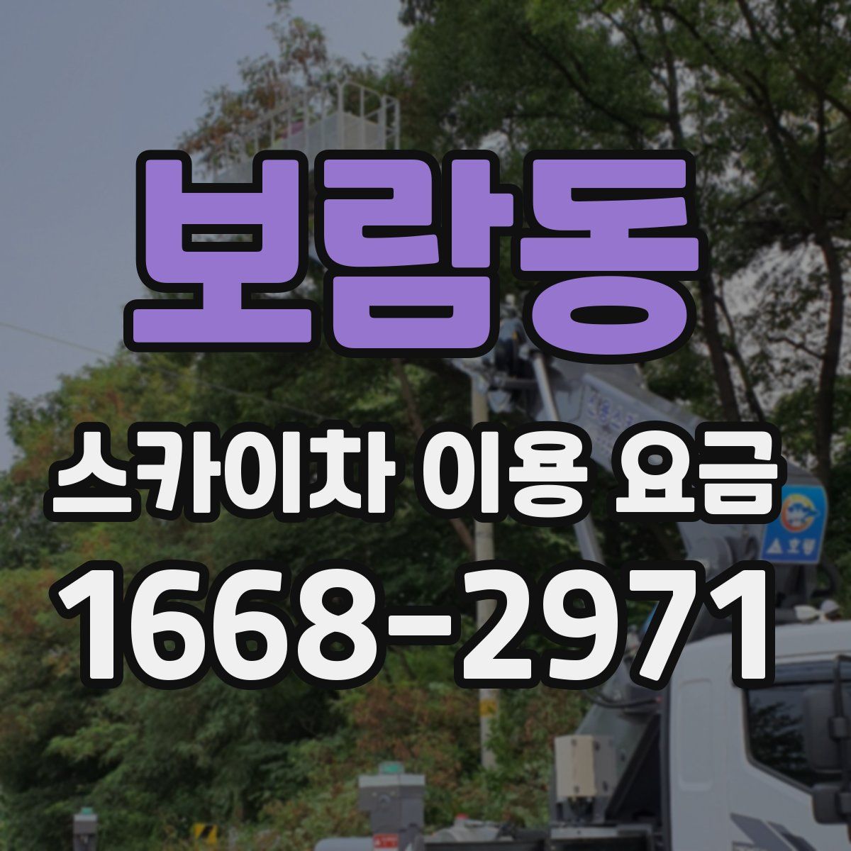 보람동 스카이차 이용 요금