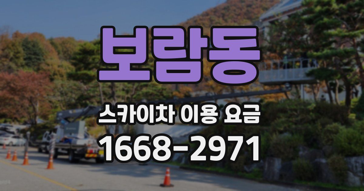 보람동 스카이차 이용 요금