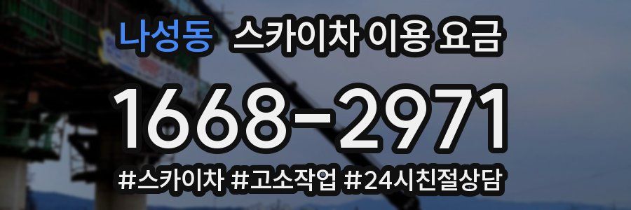 나성동 스카이차 이용 요금