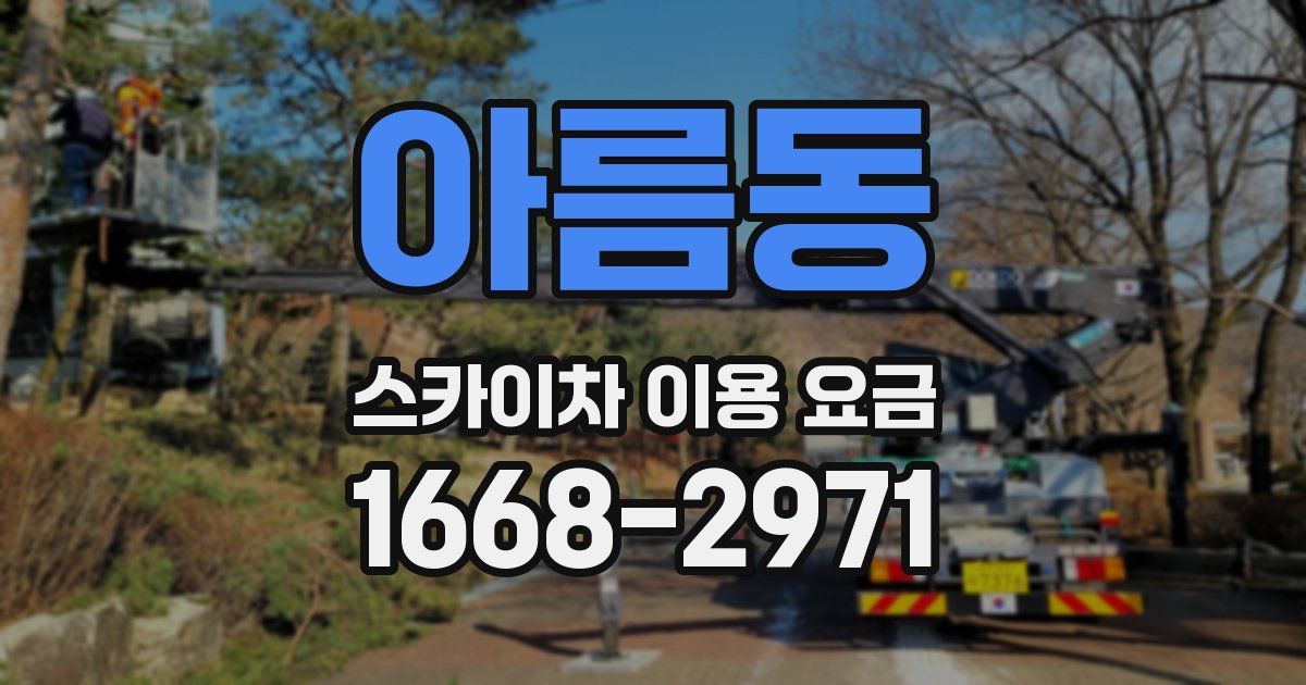 아름동 스카이차 이용 요금