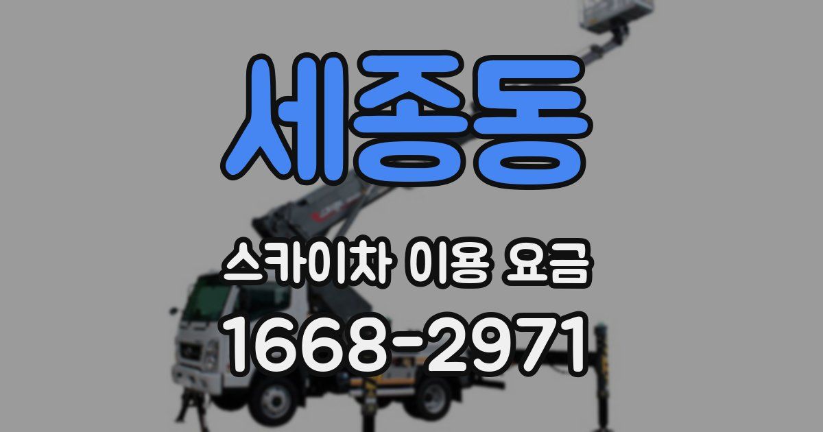 세종동 스카이차 이용 요금