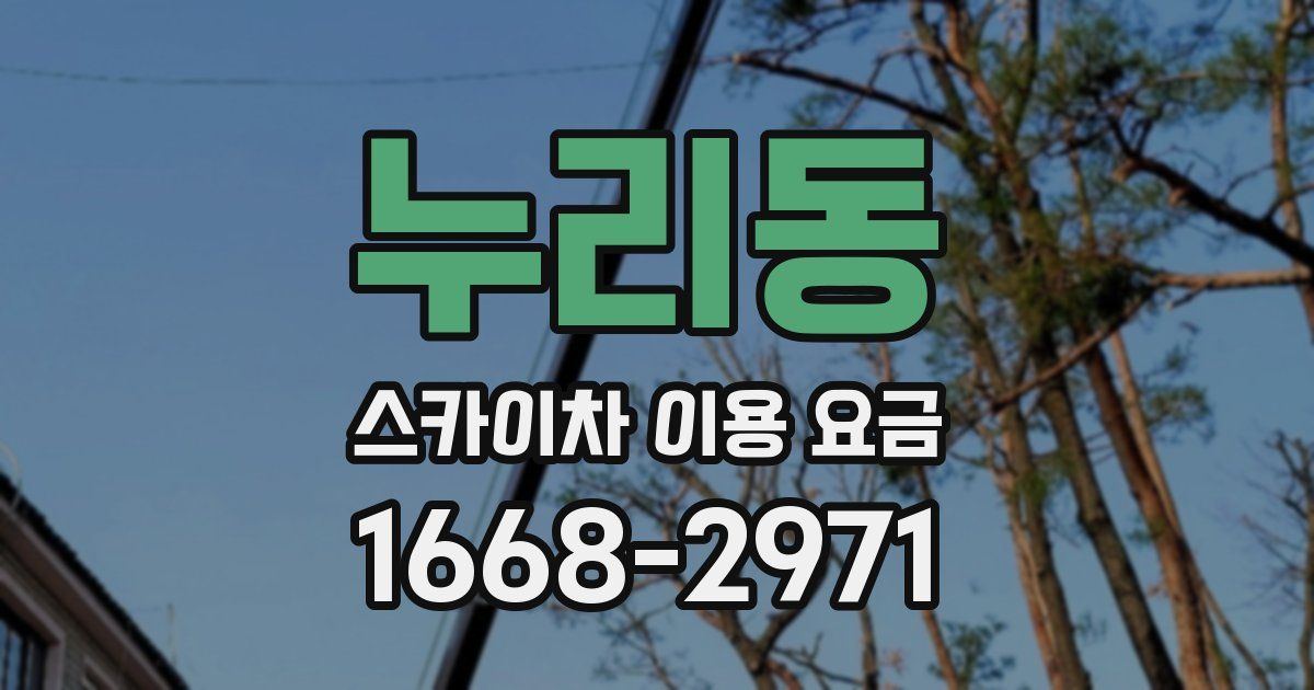 누리동 스카이차 이용 요금