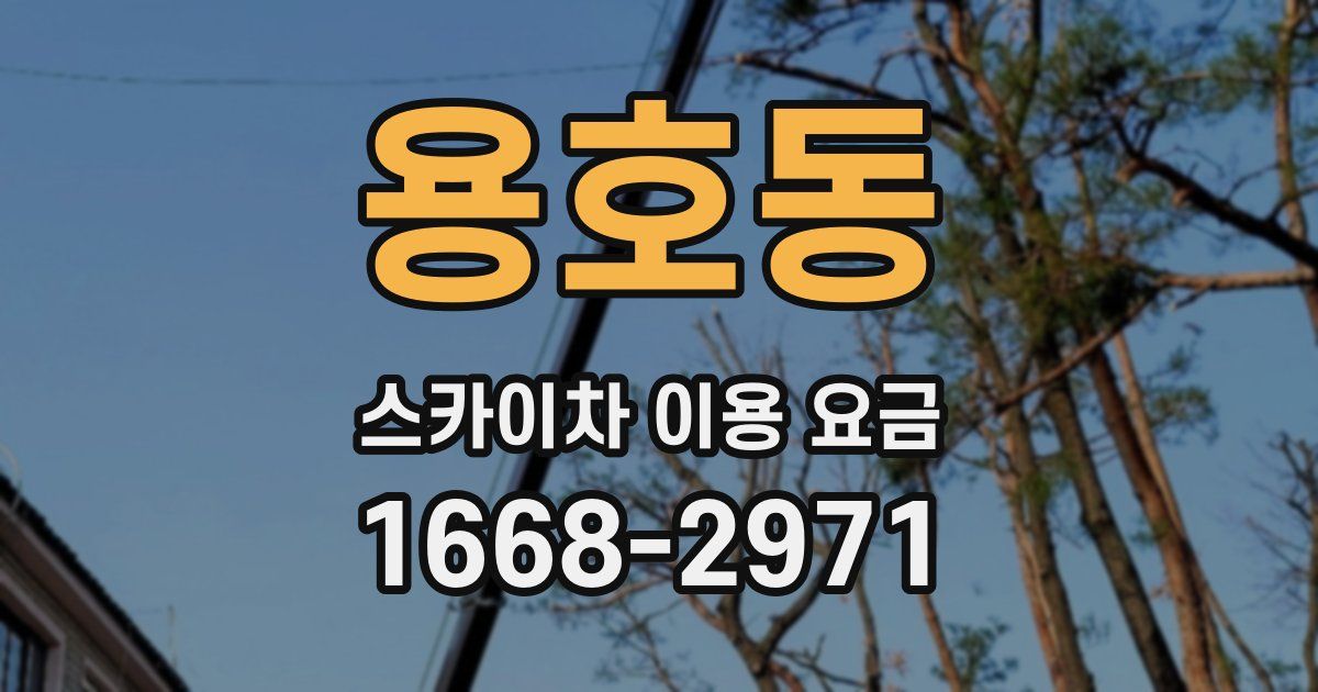 용호동 스카이차 이용 요금