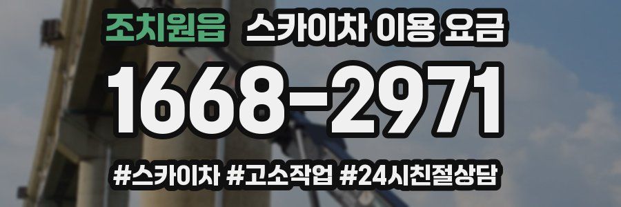 조치원읍 스카이차 이용 요금