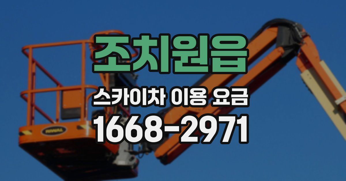 조치원읍 스카이차 이용 요금