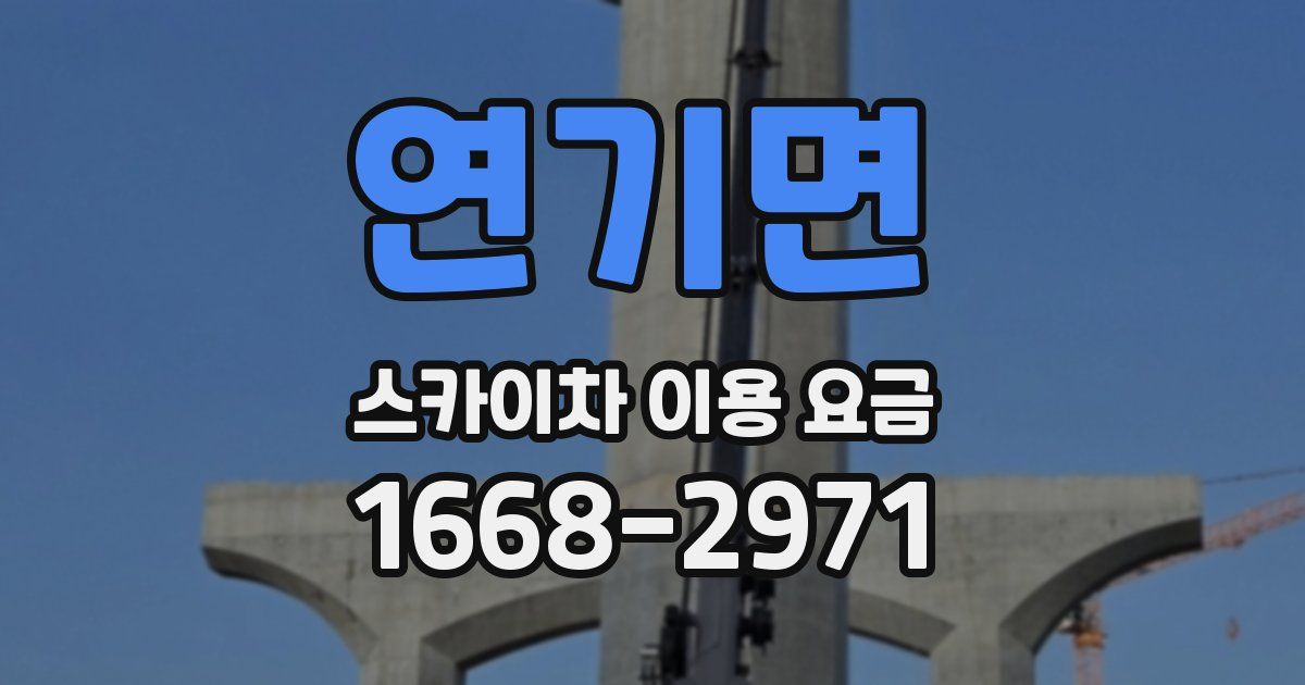 연기면 스카이차 이용 요금