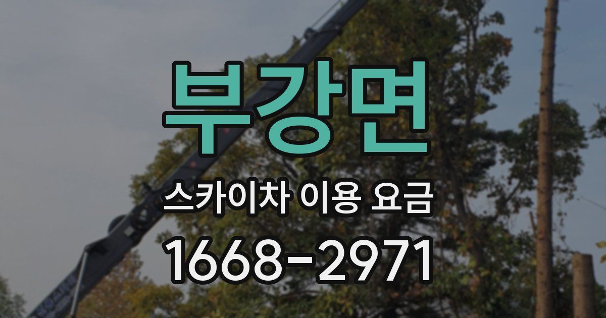 부강면 스카이차 이용 요금