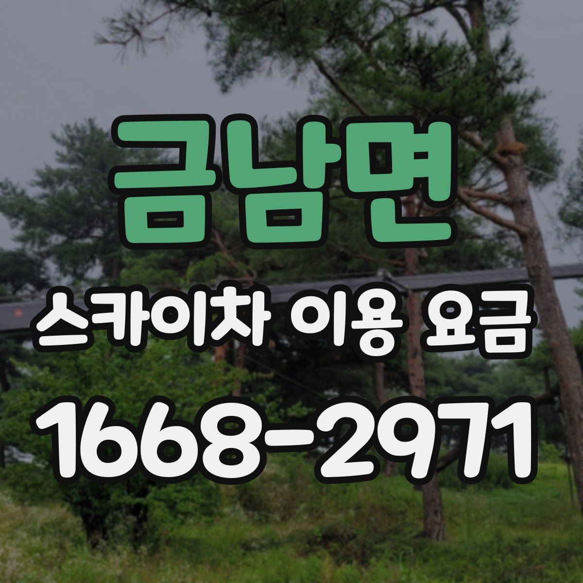 금남면 스카이차 이용 요금