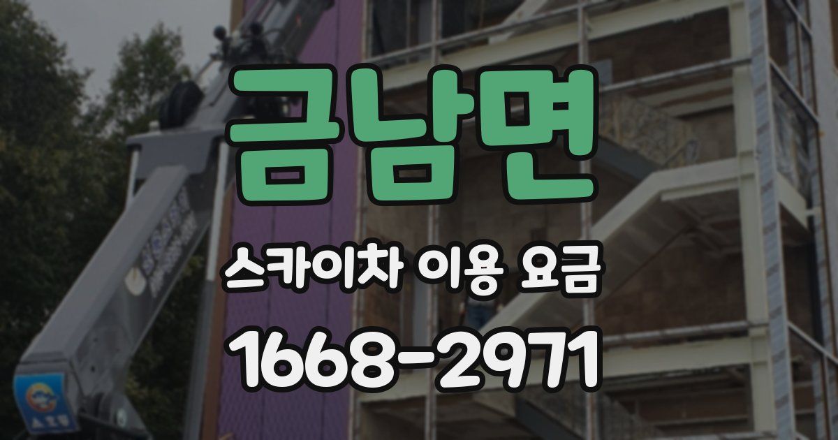 금남면 스카이차 이용 요금