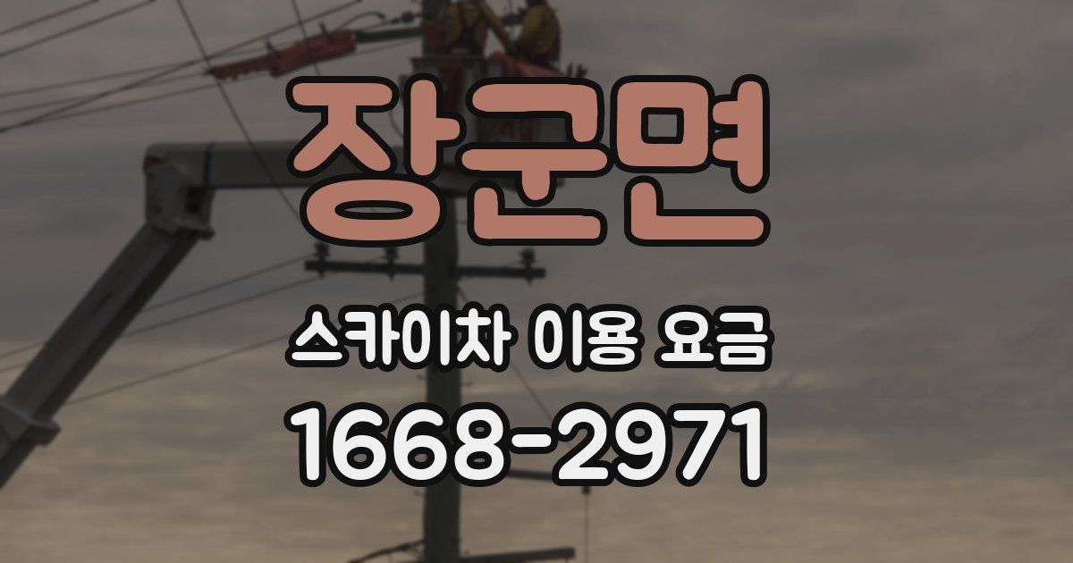 장군면 스카이차 이용 요금