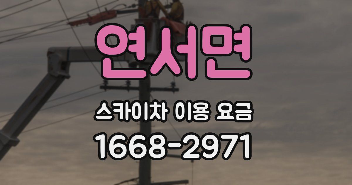 연서면 스카이차 이용 요금