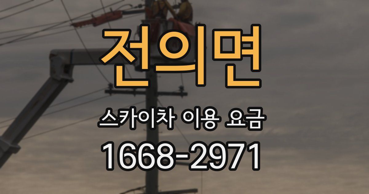 전의면 스카이차 이용 요금
