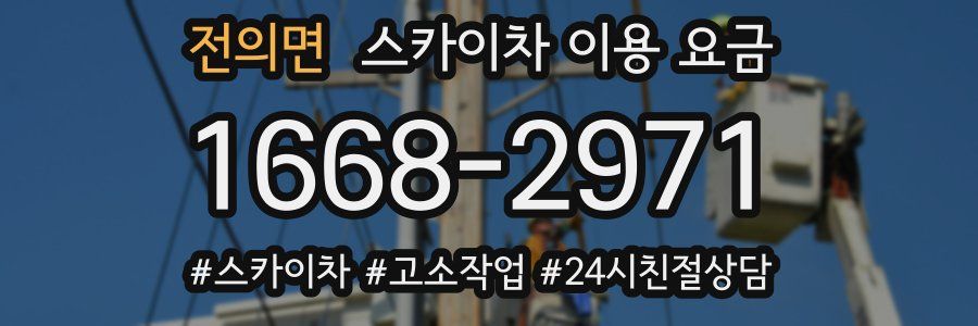 전의면 스카이차 이용 요금