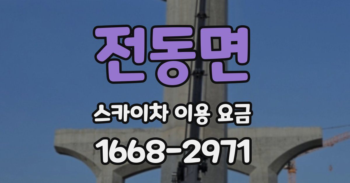 전동면 스카이차 이용 요금