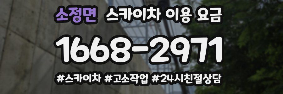 소정면 스카이차 이용 요금