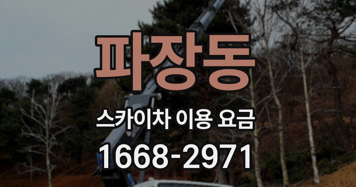 파장동 스카이차 이용 요금