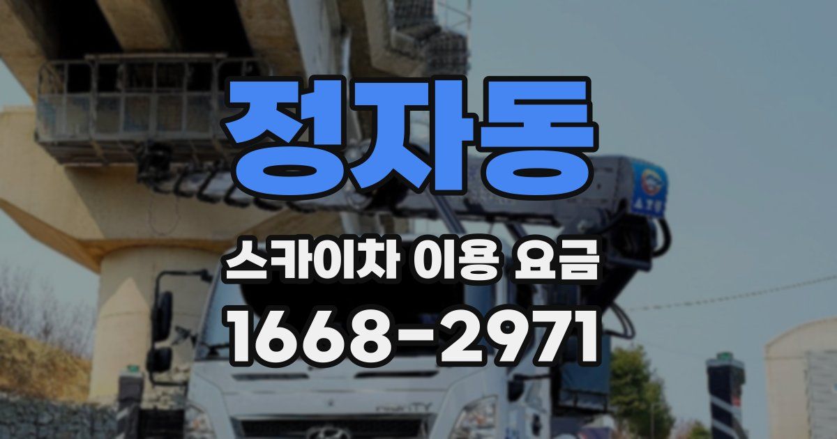 정자동 스카이차 이용 요금