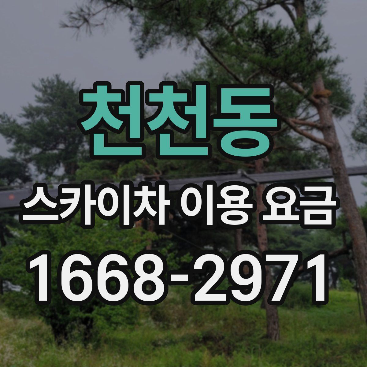 천천동 스카이차 이용 요금