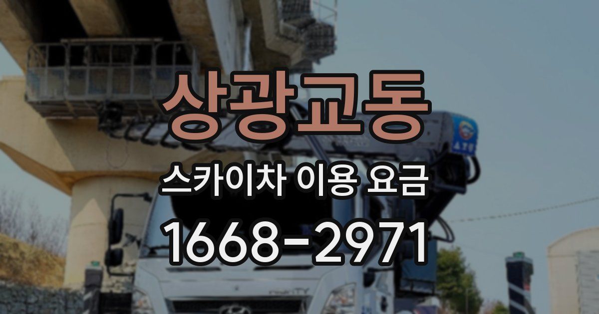 상광교동 스카이차 이용 요금